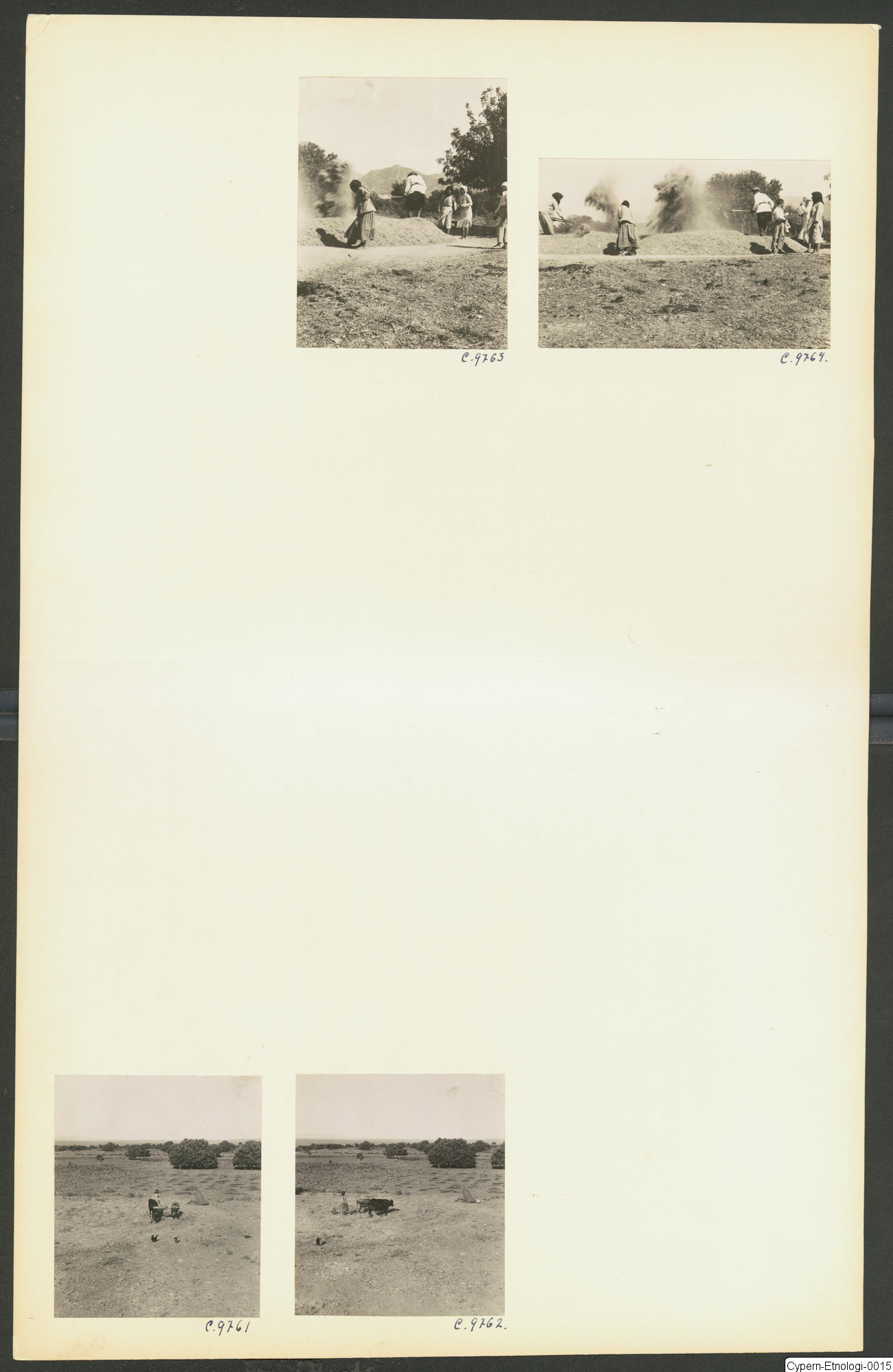 link to gallery