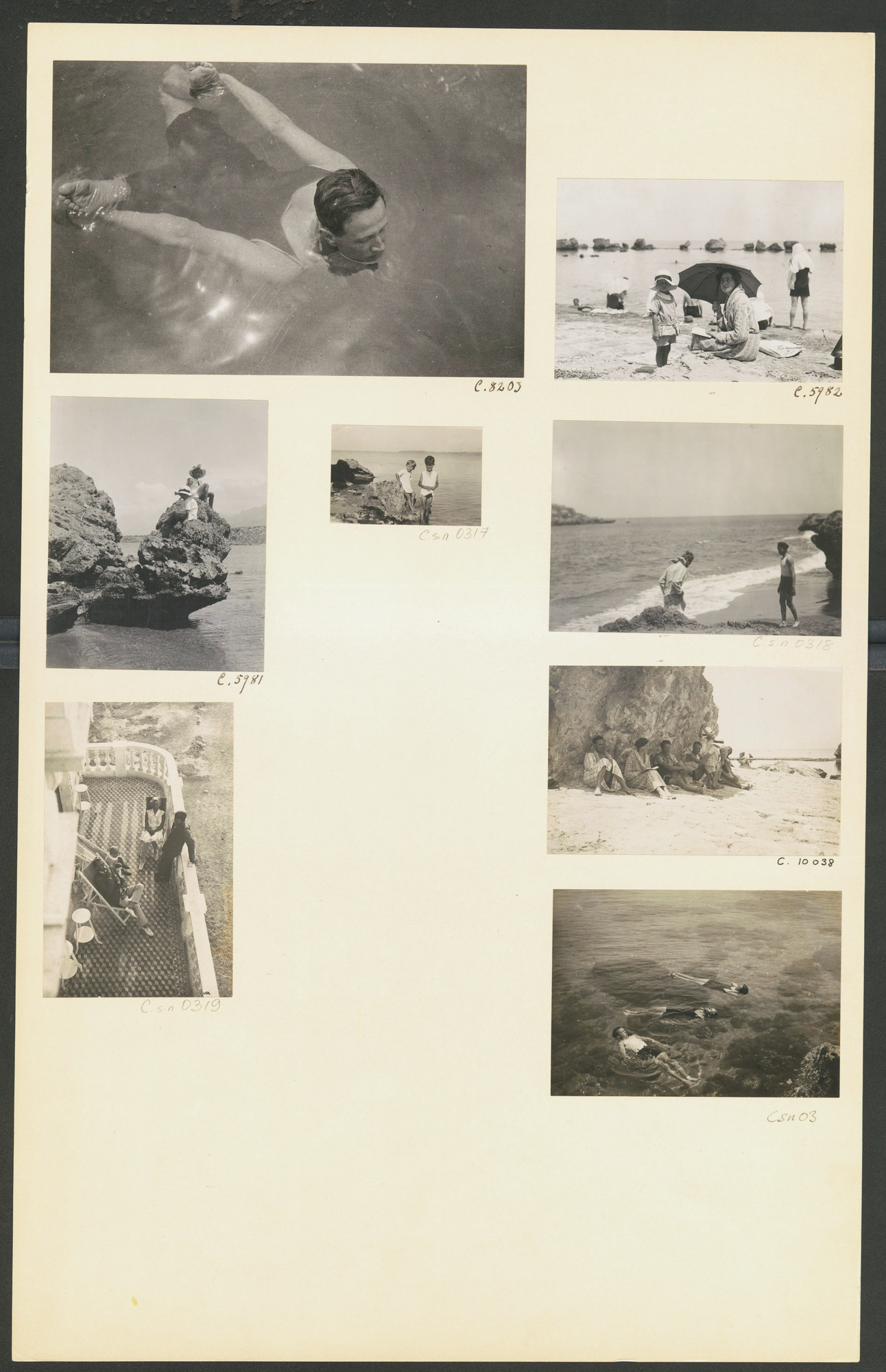 link to gallery
