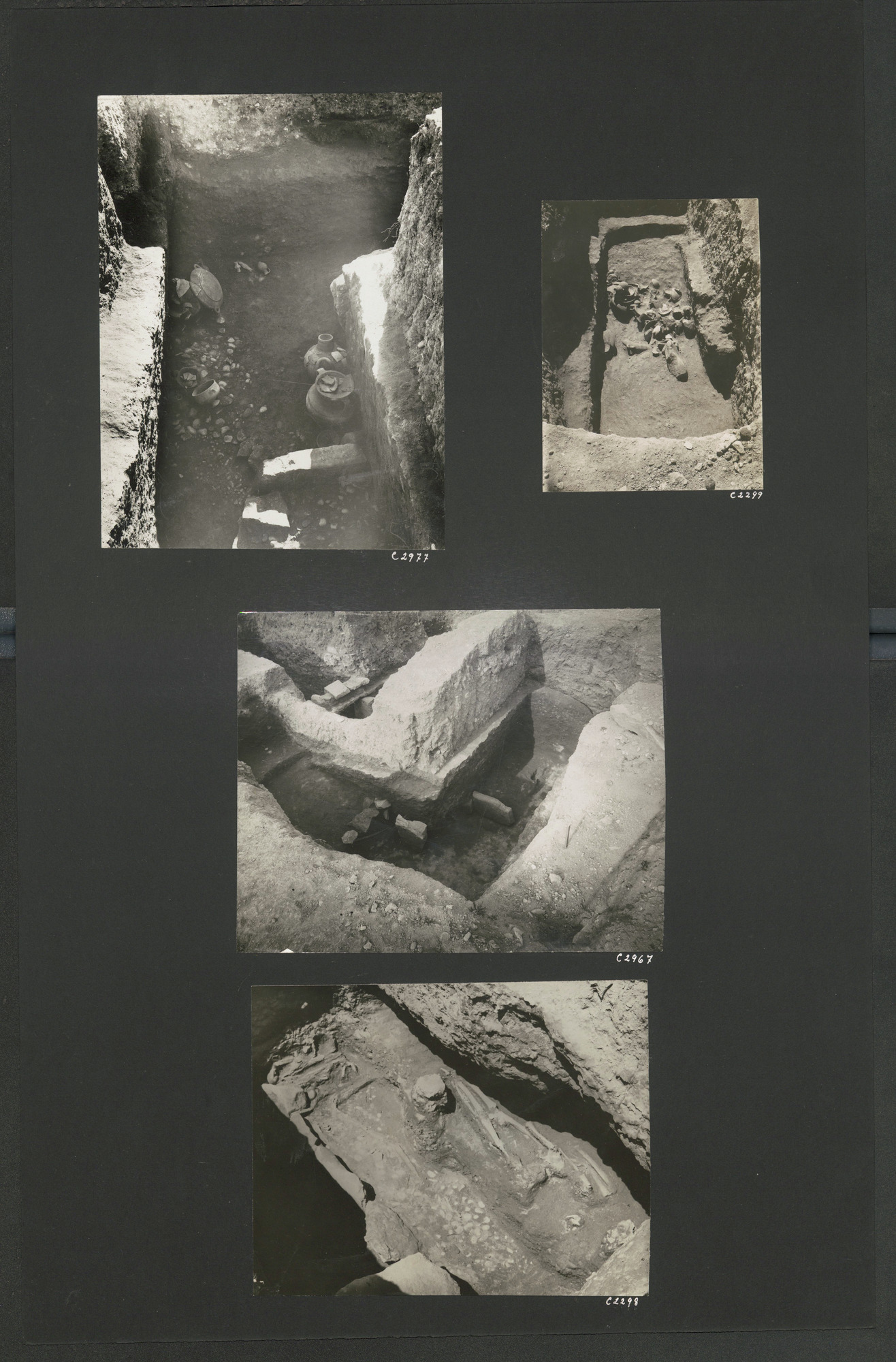 link to gallery