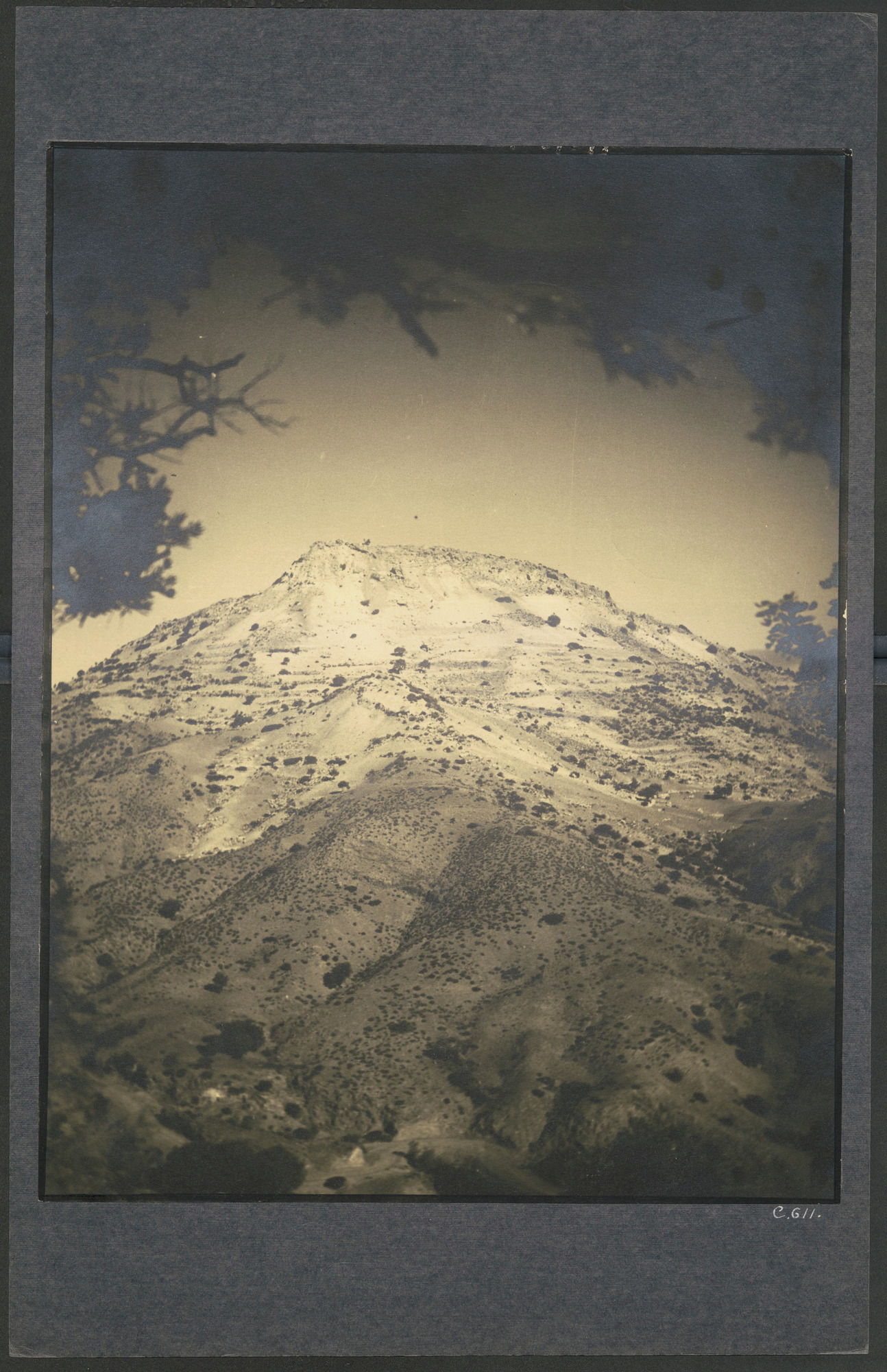 link to gallery