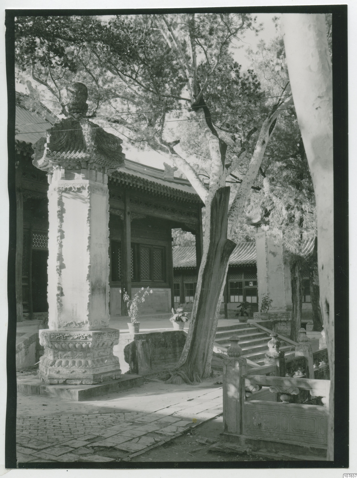 link to gallery