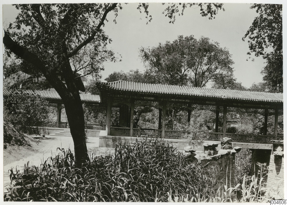 link to gallery