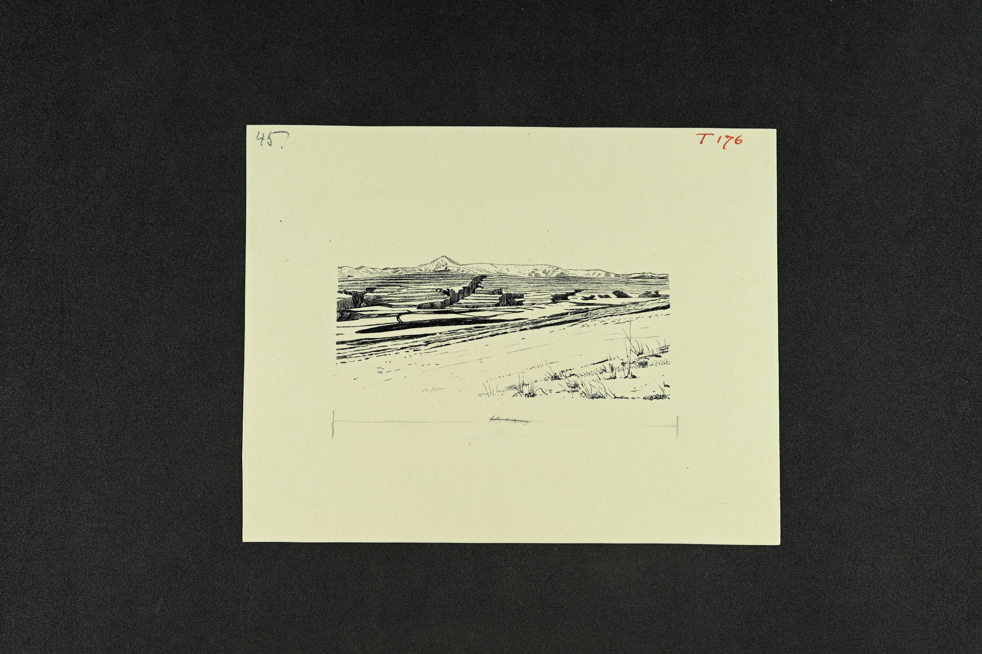 link to gallery