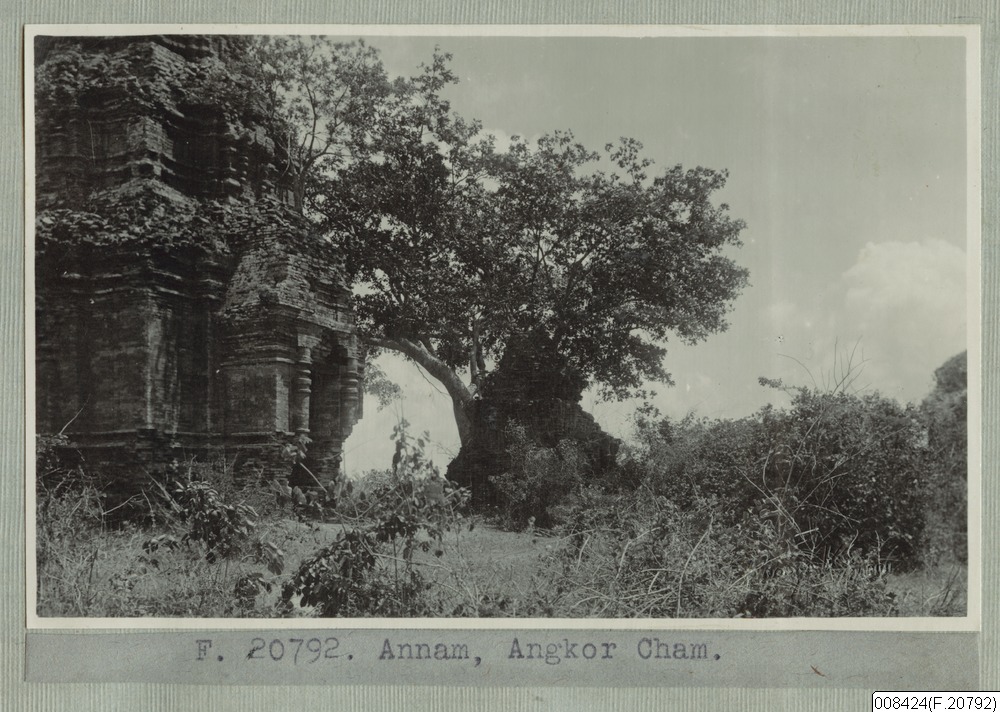 link to gallery