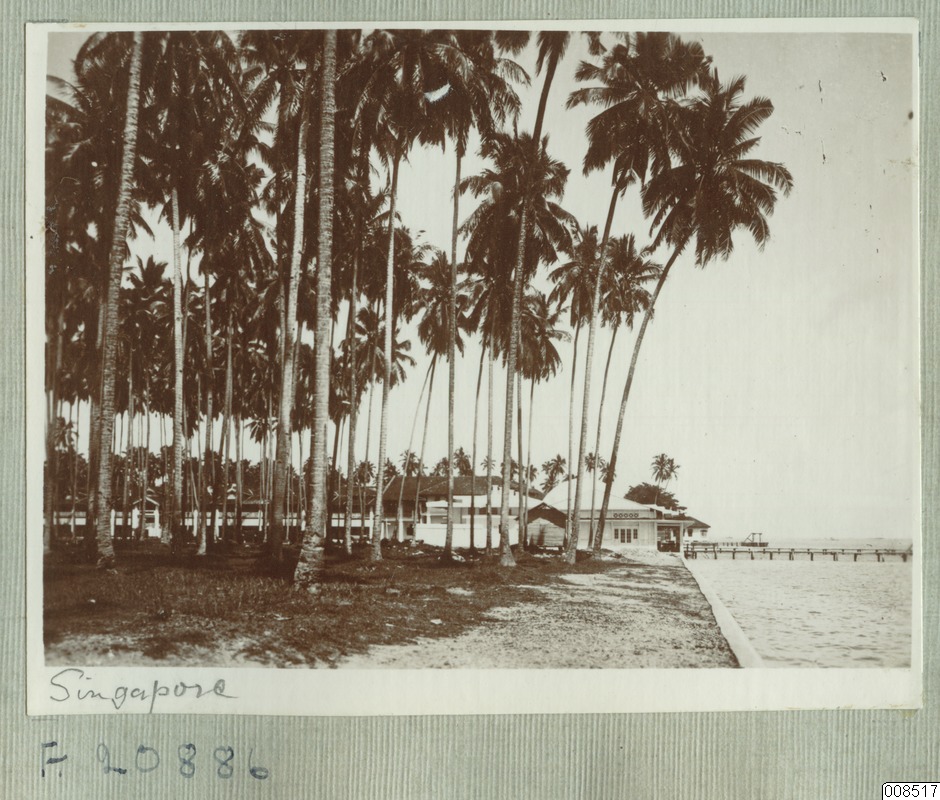 link to gallery