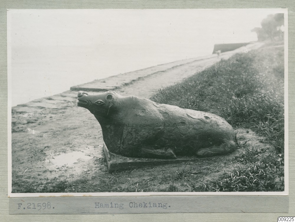 link to gallery