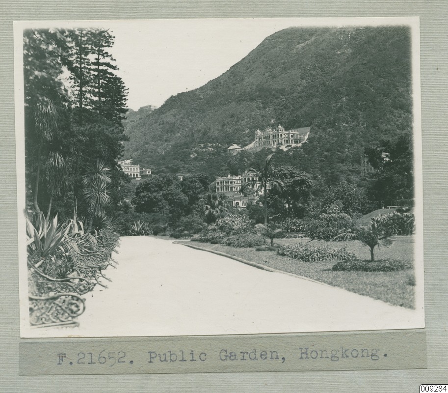 link to gallery
