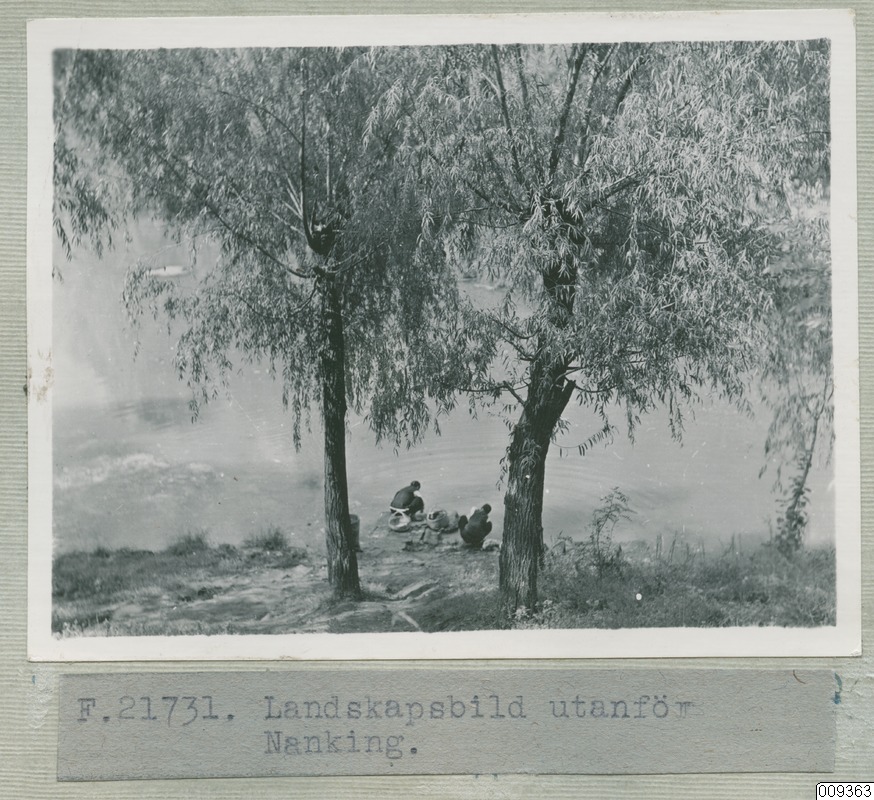 link to gallery