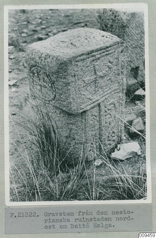 link to gallery