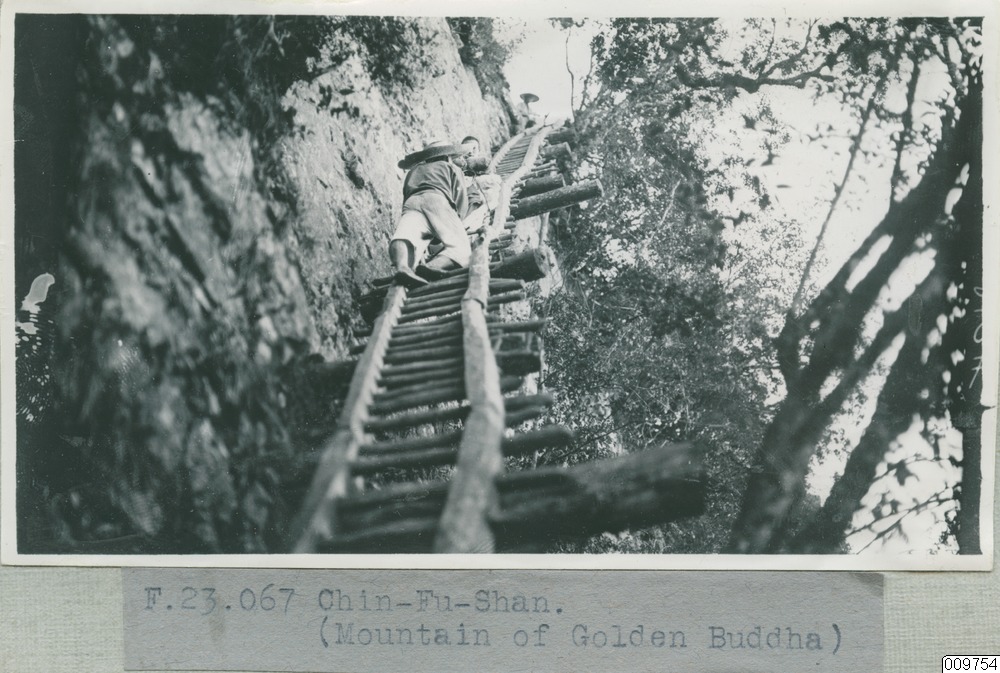 link to gallery