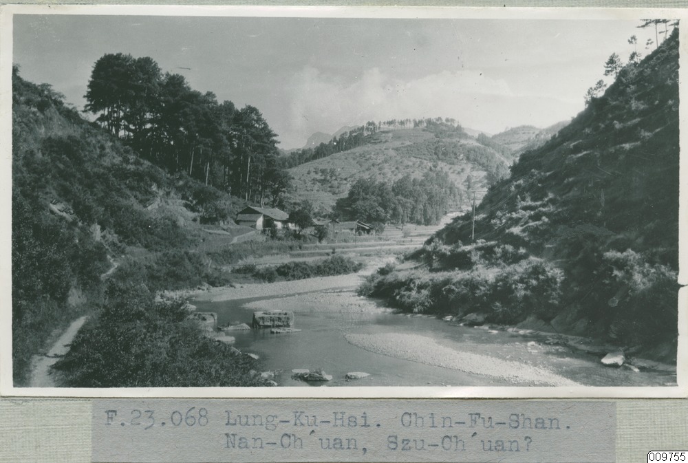 link to gallery