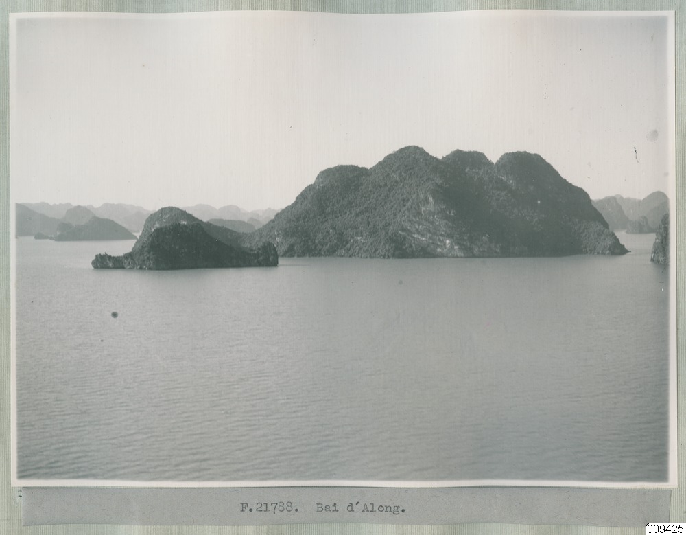 link to gallery