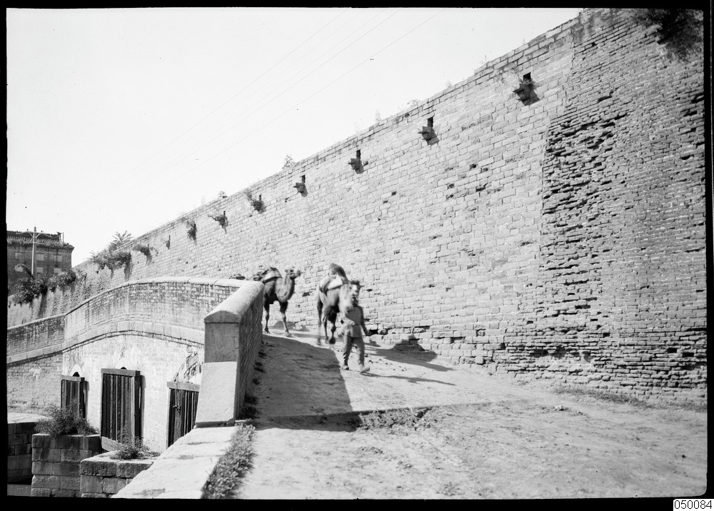 link to gallery