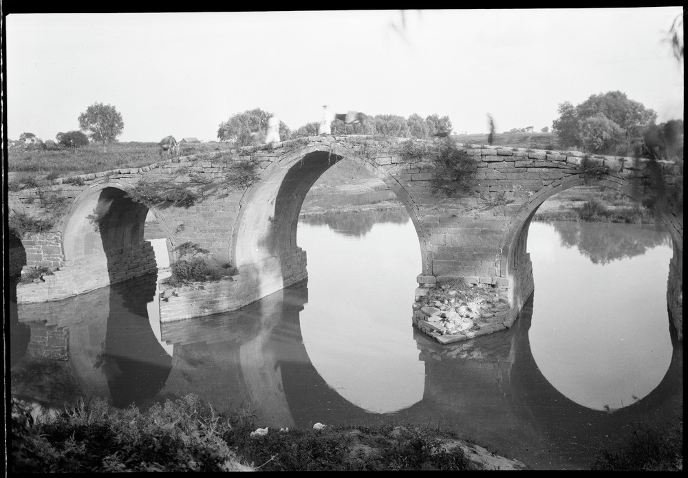 link to gallery