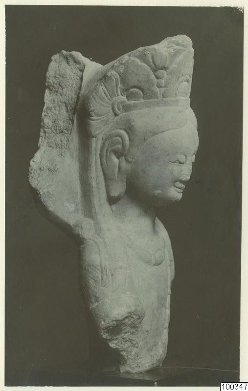 link to gallery