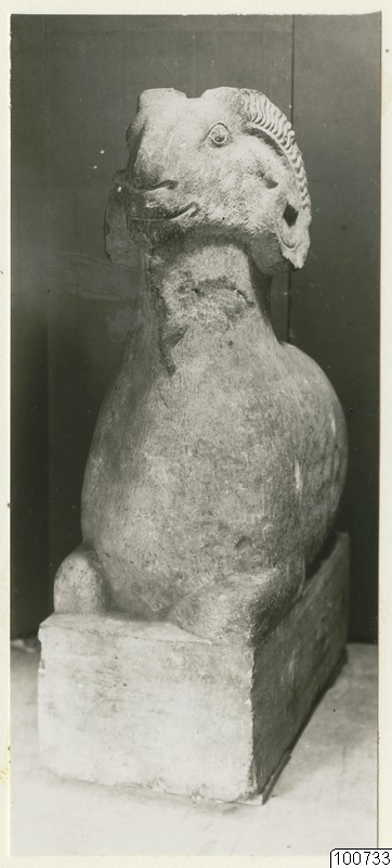 link to gallery
