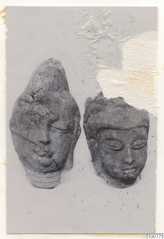 link to gallery