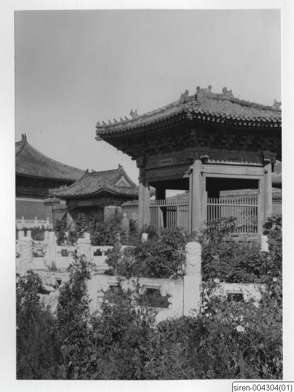 link to gallery