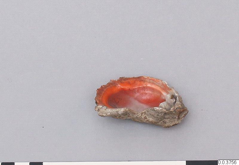 link to gallery