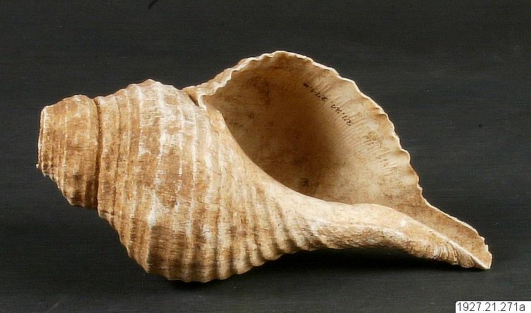 link to gallery