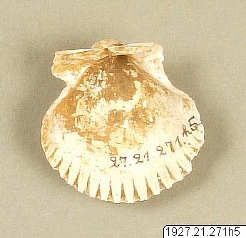 link to gallery