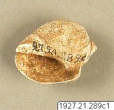 link to gallery