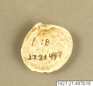 link to gallery