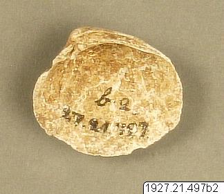 link to gallery