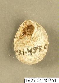 link to gallery