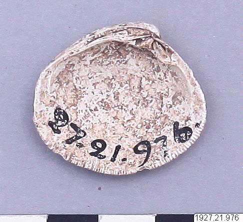 link to gallery