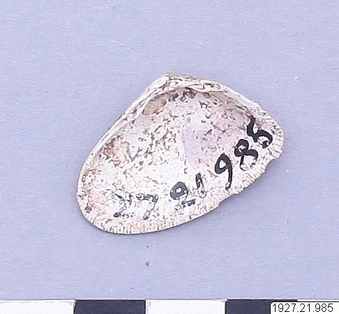 link to gallery