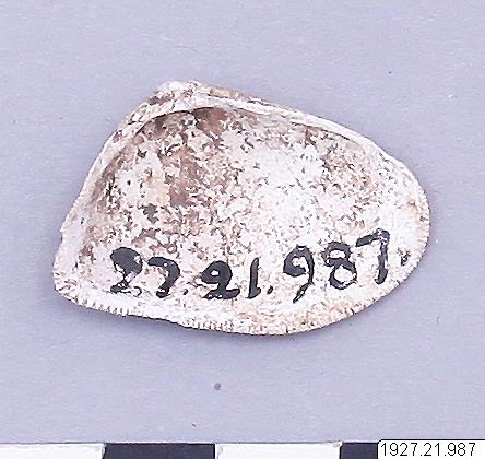 link to gallery