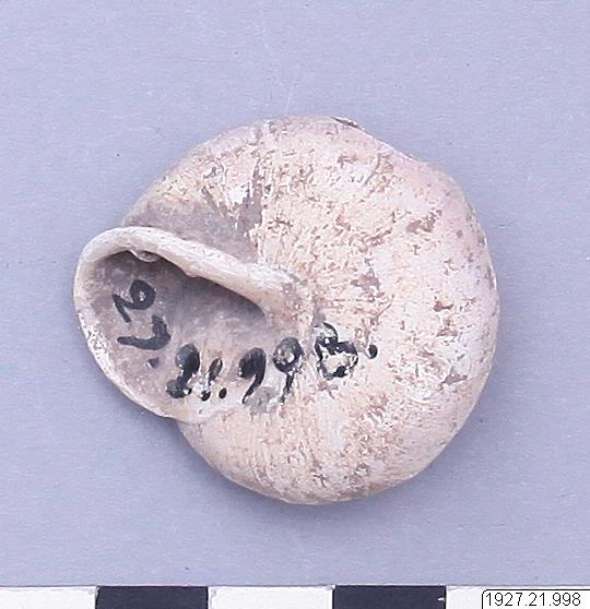 link to gallery