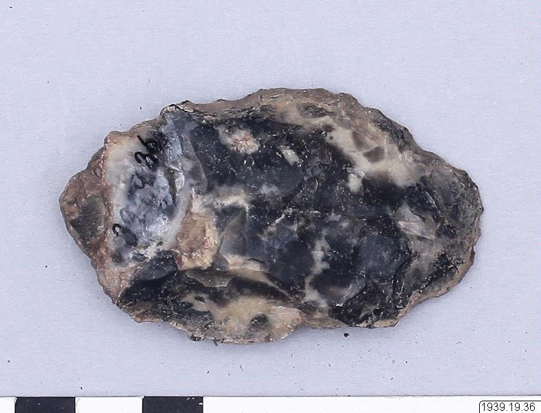 link to gallery