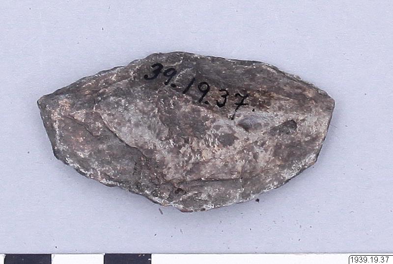 link to gallery