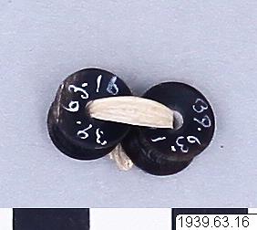 link to gallery