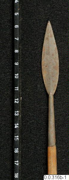 link to gallery