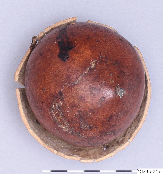 link to gallery