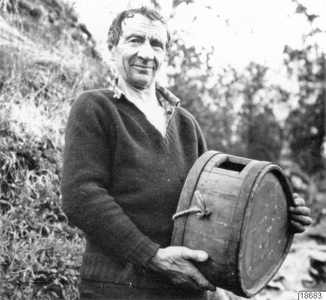 porträtt, renmjöksdrittel, same, fotografi, photograph