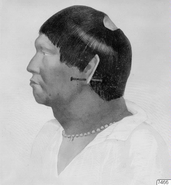 teckning, porträtt, man, indian, Teckning, drawing