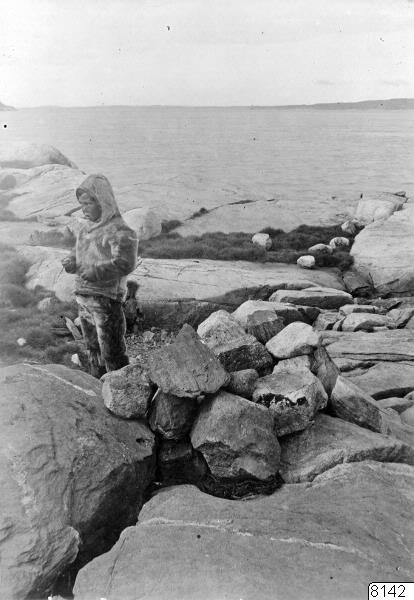 köttgrav, porträtt, fotografi, photograph