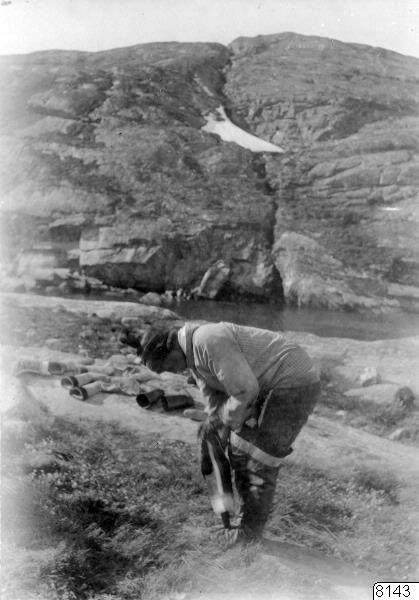 porträtt, fotografi, photograph