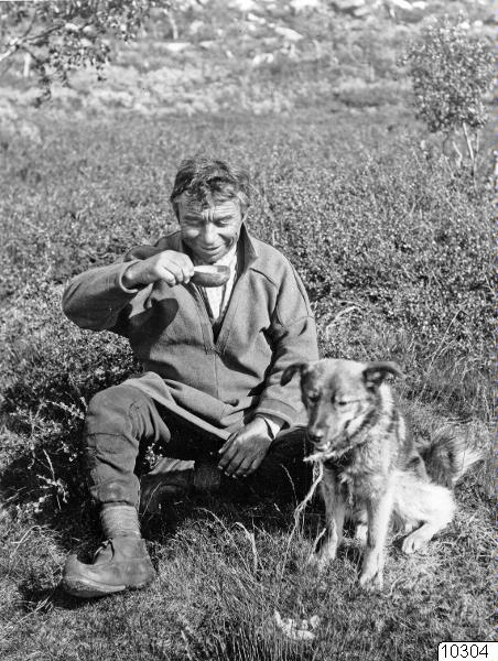 hund, kåsa, porträtt, fotografi, photograph