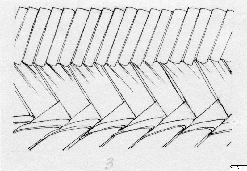 teckning, flätteknik, korg, förvaring, föremålsbild, hantverk, Teckning, drawing