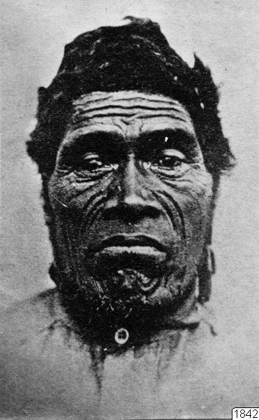 maori, man, porträtt, fotografi, photograph