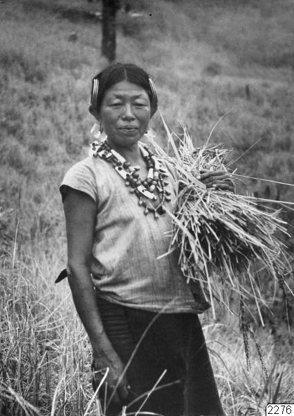 halsband, porträtt, kvinna, fotografi, photograph