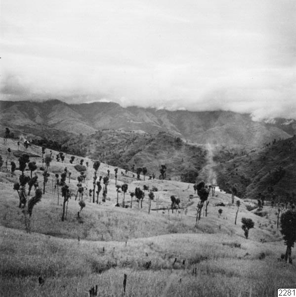 Rice Field, Landscape, Photography