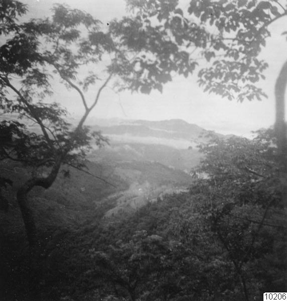 landskap, lansdkap, träd, natur, fotografi, photograph