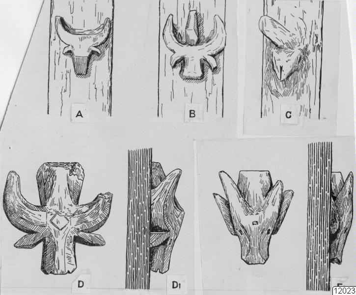 relief, fallusmotiv, träskulptur, buffelhuvud, teckning, Teckning, drawing