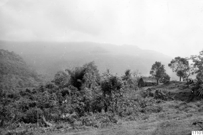 berg, landskap, skog, byggnad, hus, fotografi, photograph